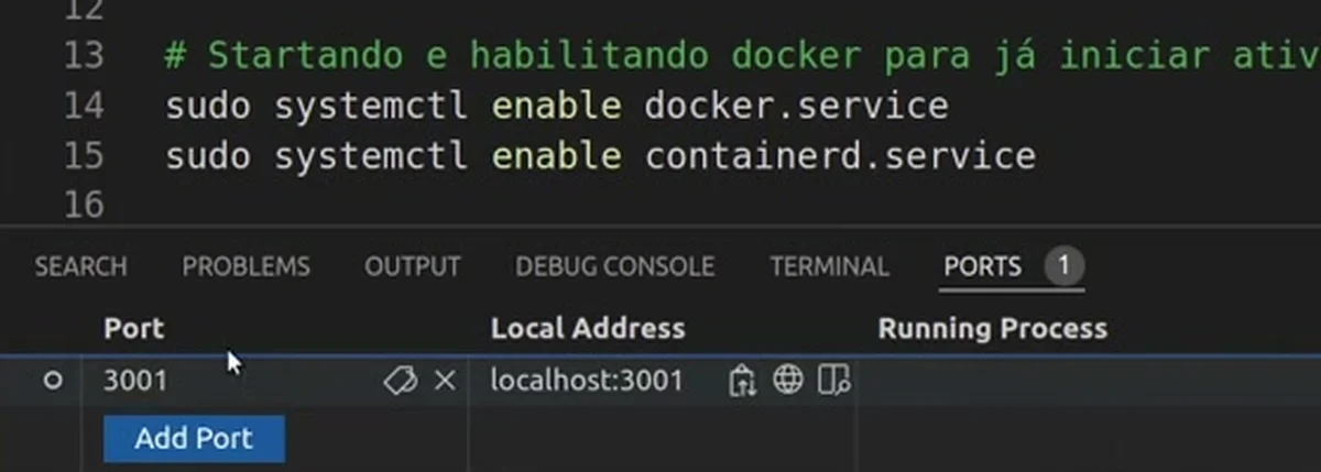 Aba Ports do VS Code conectado à instância, com a porta 3001 encaminhada para localhost:3001