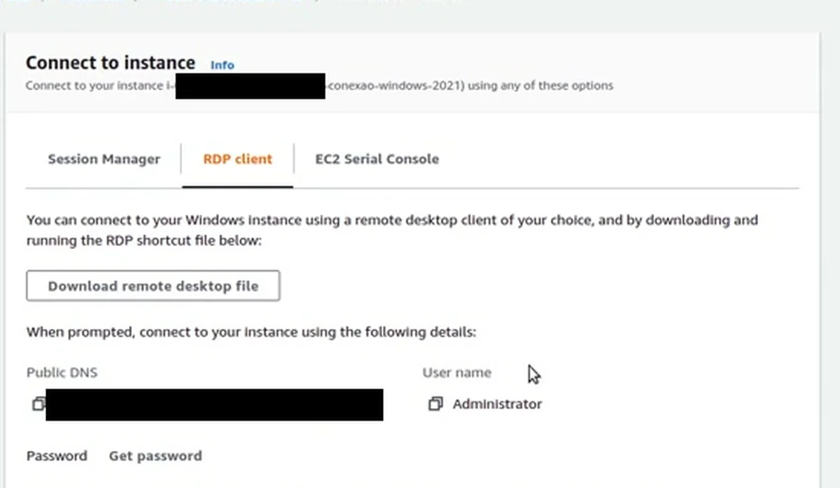 A aba RDP client: botão para baixar o arquivo de conexão, DNS público (coberto), usuário Administrator e o link Get password