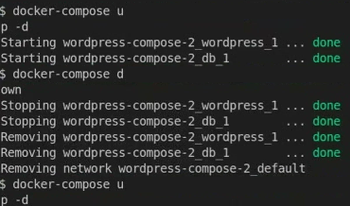 O terminal com docker-compose up -d, down e up -d: os dois containers são parados e removidos junto com a rede wordpress-compose-2_default