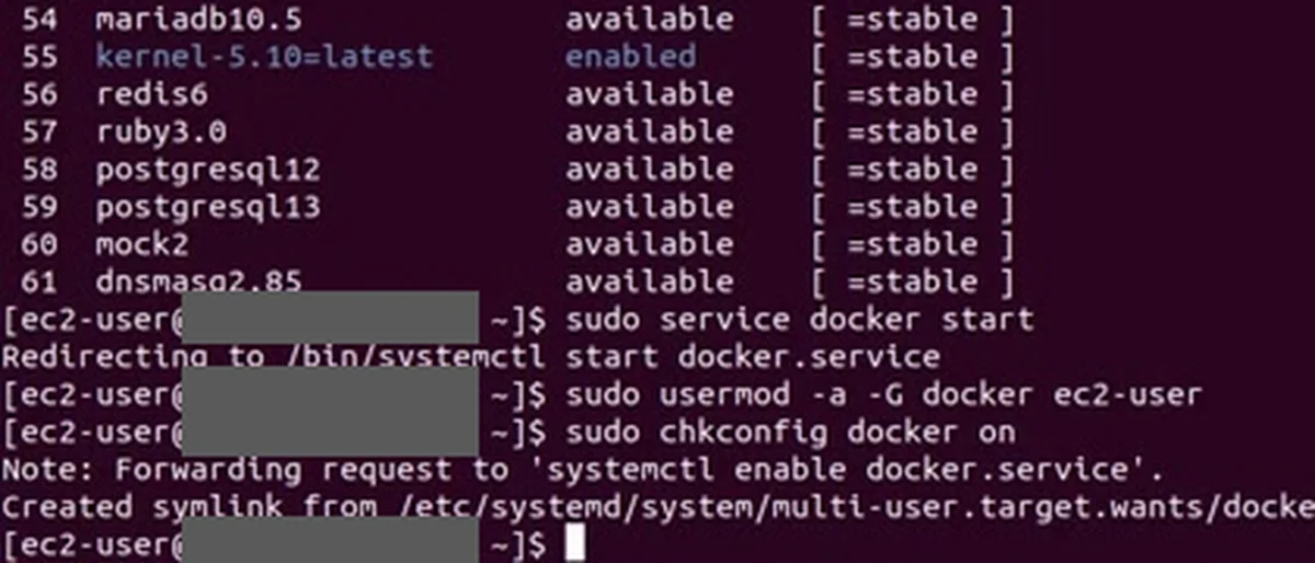 Terminal da EC2 com os três comandos depois da instalação: service docker start, usermod para o grupo docker e chkconfig docker on