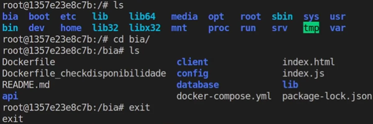 Terminal dentro do container ubuntu-custom-2: o ls da raiz lista a pasta bia, e o ls dentro dela lista os arquivos do projeto