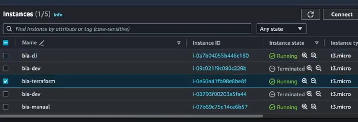 A lista de instâncias com bia-cli, bia-terraform e bia-manual em execução, todas t3.micro; as duas linhas bia-dev aparecem como terminadas