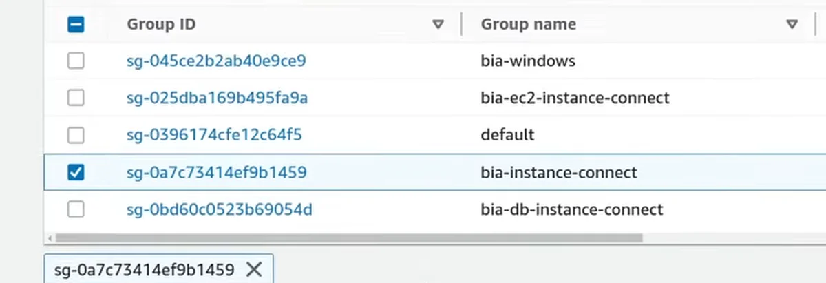 Lista de security groups na criação do endpoint, com bia-instance-connect marcado