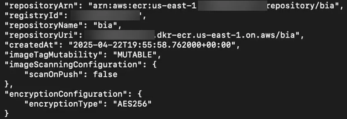 A saída do describe-repositories na instância privada: o repositório bia, com o repositoryUri no formato dkr-ecr.us-east-1.on.aws/bia (conta borrada)