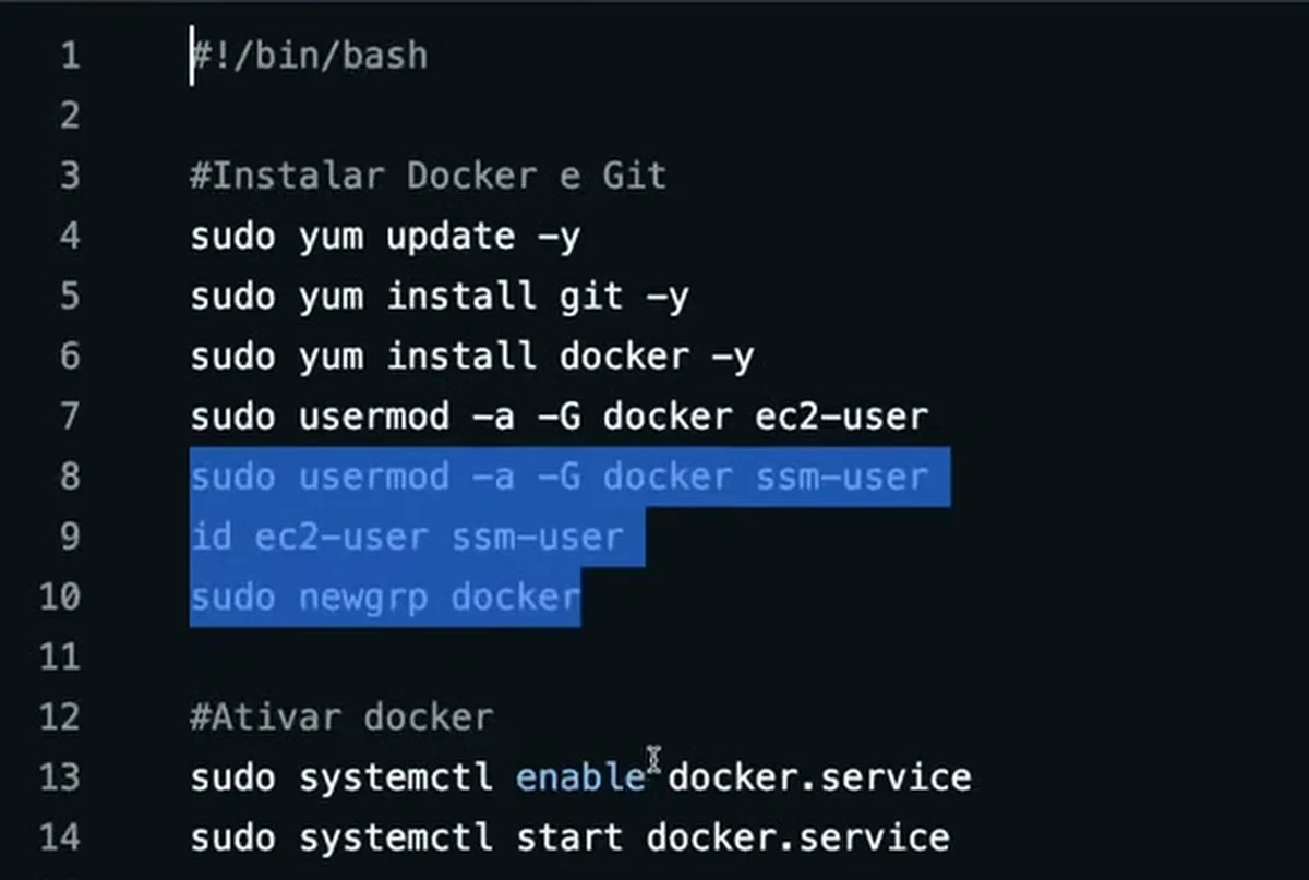 O começo do script de user data do projeto BIA: atualiza a máquina, instala Git e Docker, coloca ec2-user e ssm-user no grupo docker e ativa o serviço