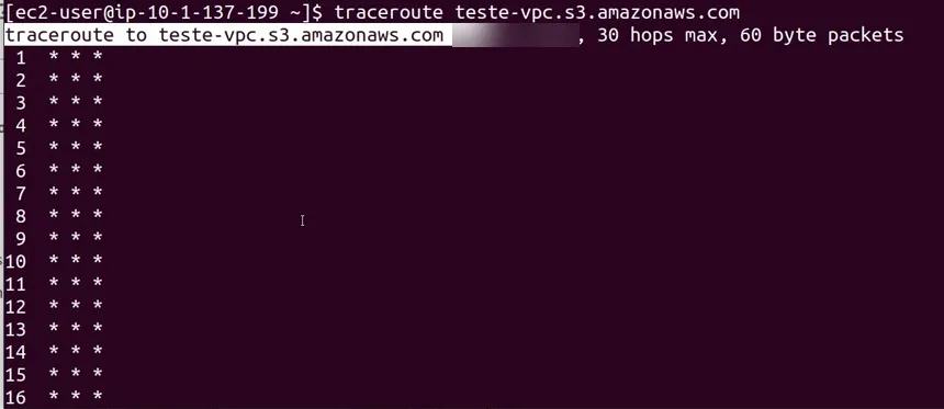 Traceroute com NAT e endpoint ativos na route table: nenhum salto se identifica e o IP do NAT não aparece (IP público do destino borrado)