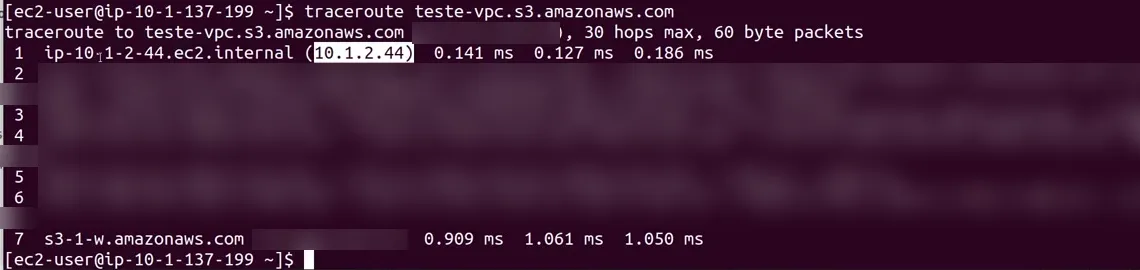 Traceroute com o NAT na rota: o primeiro salto é 10.1.2.44, o IP privado do NAT Gateway (IPs públicos borrados)