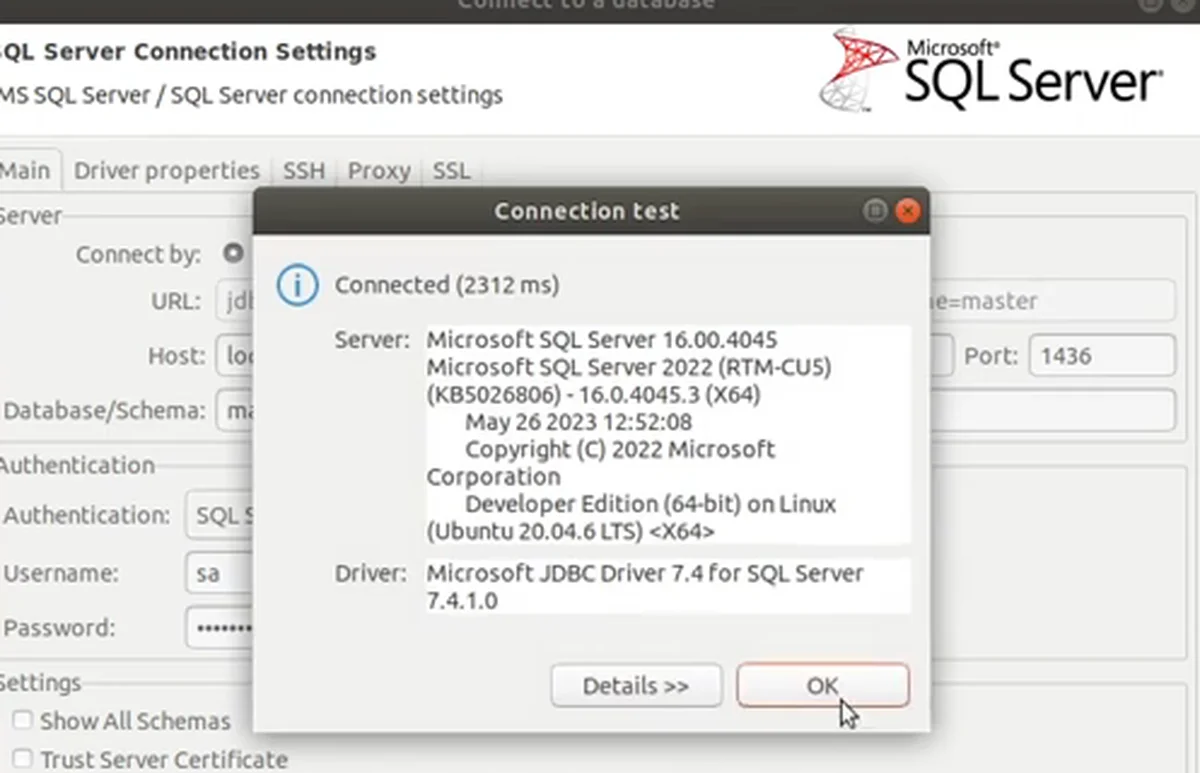 O teste de conexão do DBeaver em localhost:1436, com o usuário sa, respondendo Connected e SQL Server 2022