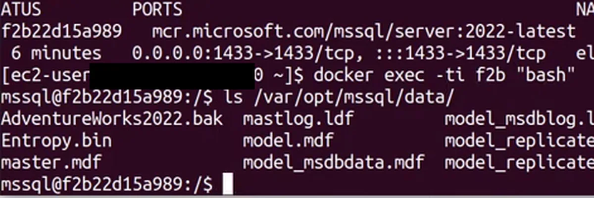 Dentro do container, o ls de /var/opt/mssql/data lista o AdventureWorks2022.bak ao lado do master.mdf e dos outros arquivos do SQL Server