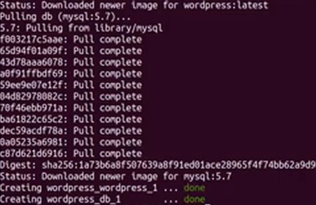 O terminal ao fim do docker-compose up: as imagens do WordPress e do mysql:5.7 baixadas e os containers wordpress_wordpress_1 e wordpress_db_1 criados